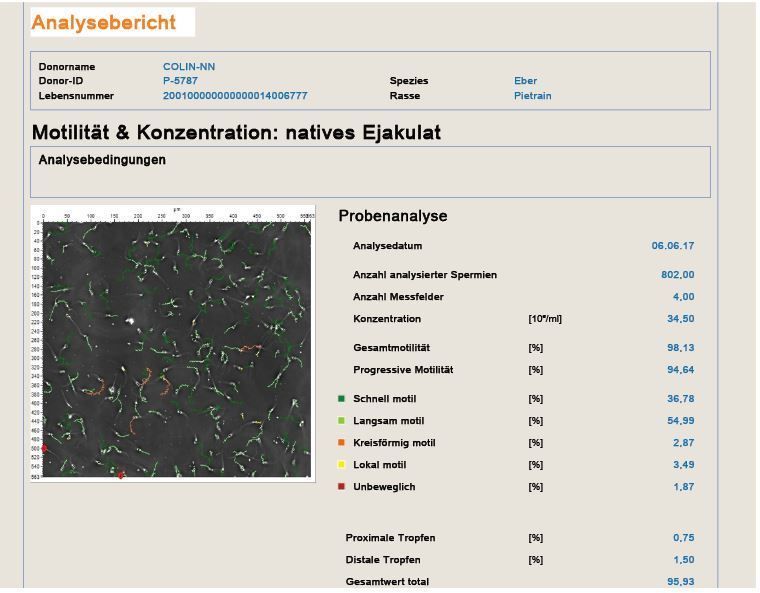 Computerunterstützte Ejakulatbeurteilung mit AndroVision. © NÖ Schweinebesamungs- und Genetiktransfer GmbH Computerunterstützte Ejakulatbeurteilung mit AndroVision. © NÖ Schweinebesamungs- und Genetiktransfer GmbH