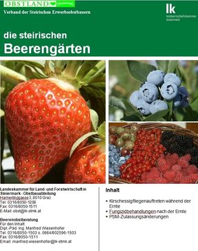 Heidelbeersorten Heidelbeersorten