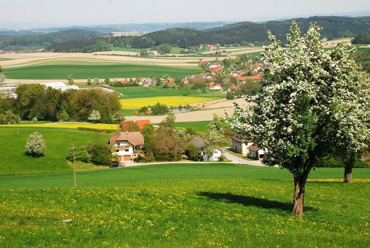 Landschaft © LK OÖ