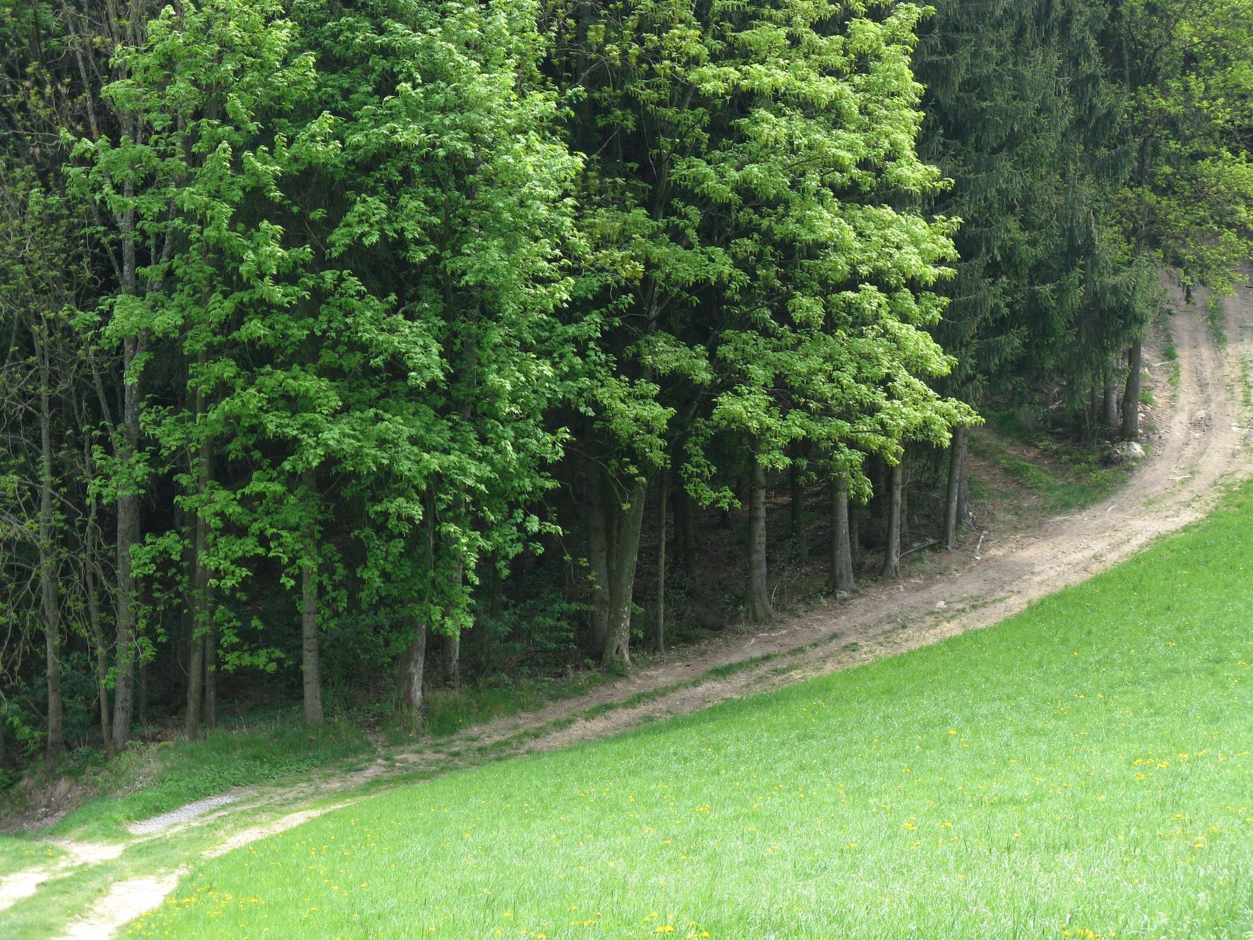 © LK OÖ, Wegerecht © LK OÖ, Wegerecht