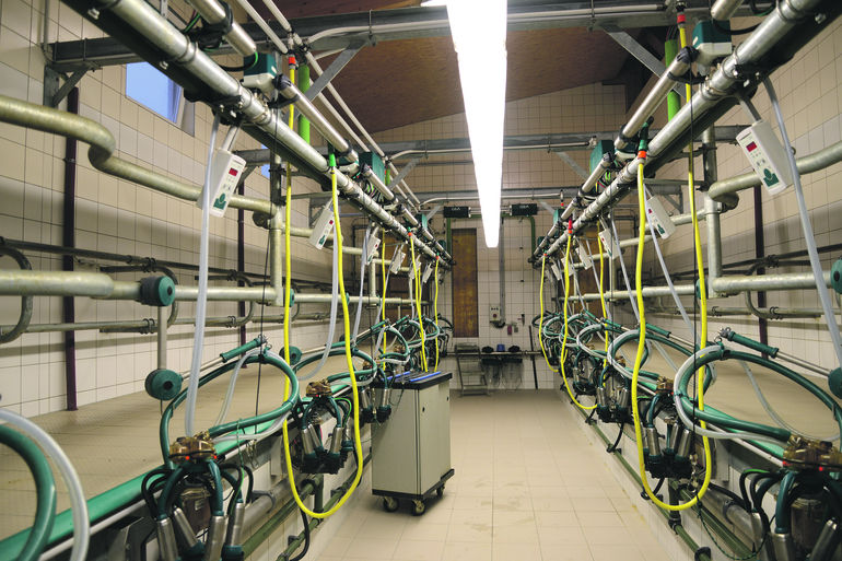 In Melkanlagen gibt es vorrangig Verunreinigungen durch Milchrückstände, die man mit dem Einsatz alkalischer und saurer Reinigungsmittel entfernt. © LK NÖ/Romana Berger In Melkanlagen gibt es vorrangig Verunreinigungen durch Milchrückstände, die man mit dem Einsatz alkalischer und saurer Reinigungsmittel entfernt. © LK NÖ/Romana Berger