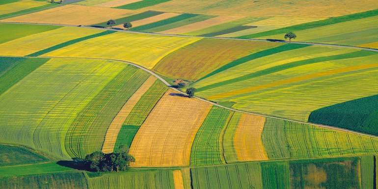 Die Aufgaben der Landwirtschaftskammer Österreichs: Betreuung der Mitglieder, Vertretung gegenüber dem Staat und anderen Berufsgruppen sowie Mitwirkung an Staatsaufgaben. © Gudellaphoto/fotolia.com