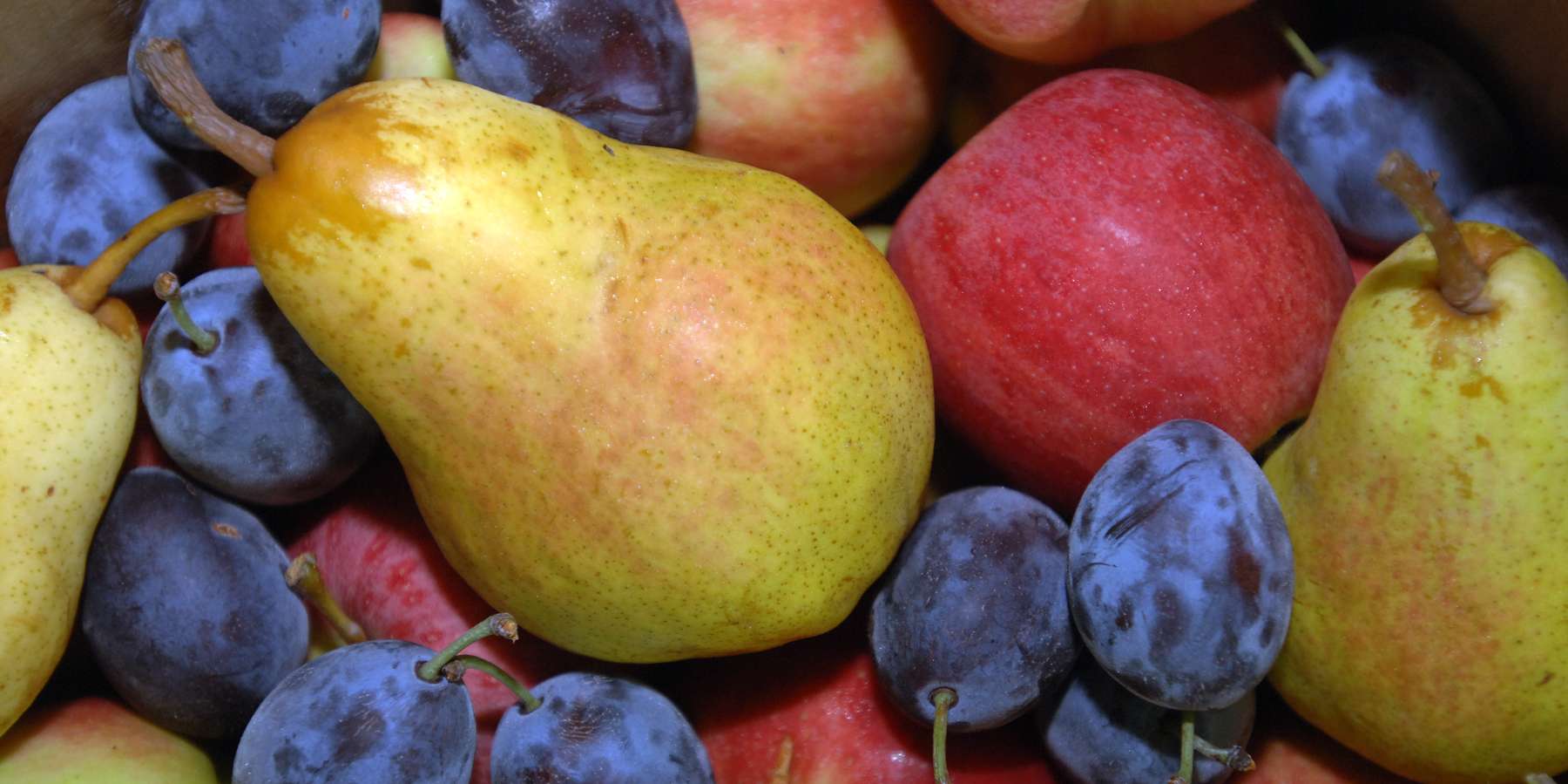 © Aichner/LK Tirol © Aichner/LK Tirol