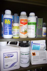 © Pflanzenbau © Pflanzenbau