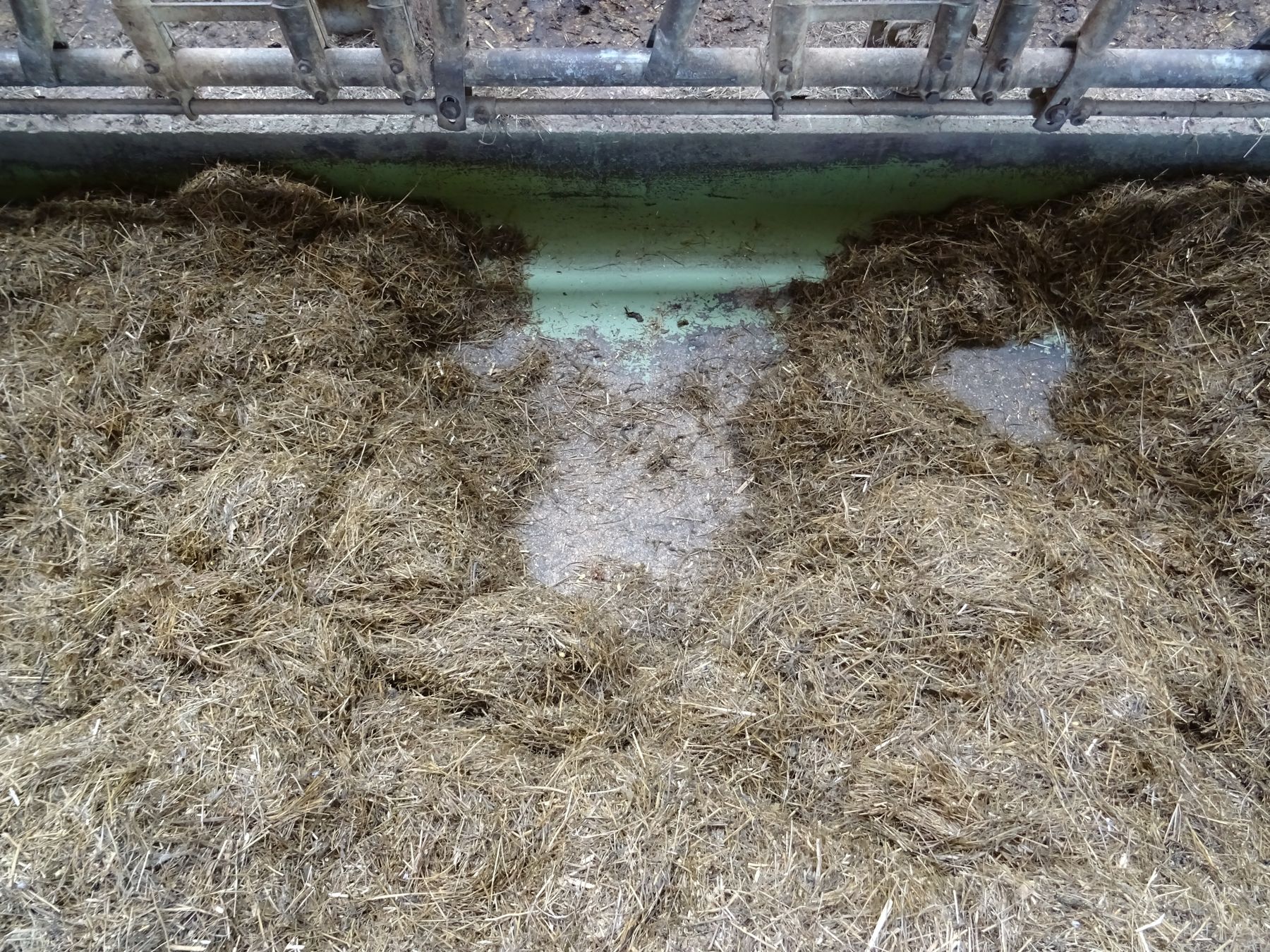 Durch das besondere Mischverfahren bei der Kompakt-TMR soll die Futterselektion vermieden werden. © Beratungsstelle Rinderproduktion O.Ö