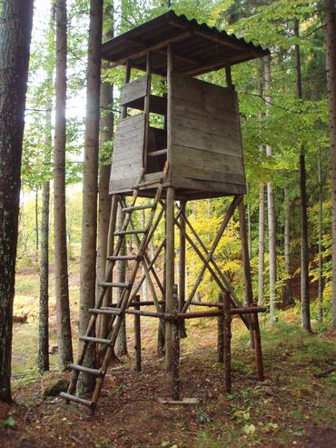 Die Grundeigentümerrechte
sollten gestärkt
und ein Miteinander
zwischen Jägerschaft
und Grund -
eigentümer gewährleistet
werden. © Deutschmann Die Grundeigentümerrechte
sollten gestärkt
und ein Miteinander
zwischen Jägerschaft
und Grund -
eigentümer gewährleistet
werden. © Deutschmann