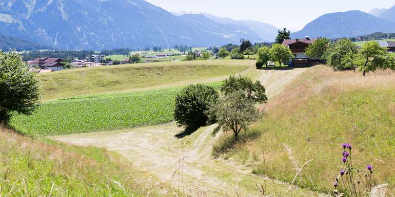 © Michaela Kölle © Michaela Kölle