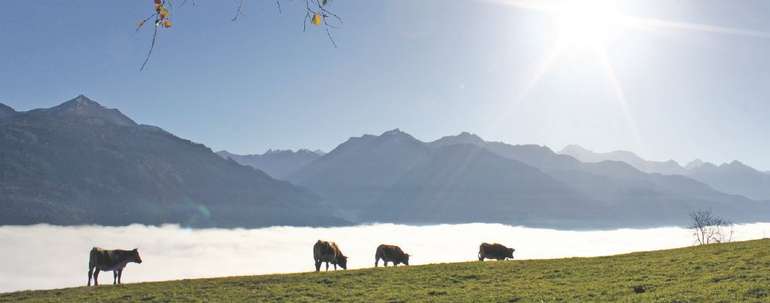 © LK-Salzburg, Fürstaller © LK-Salzburg, Fürstaller