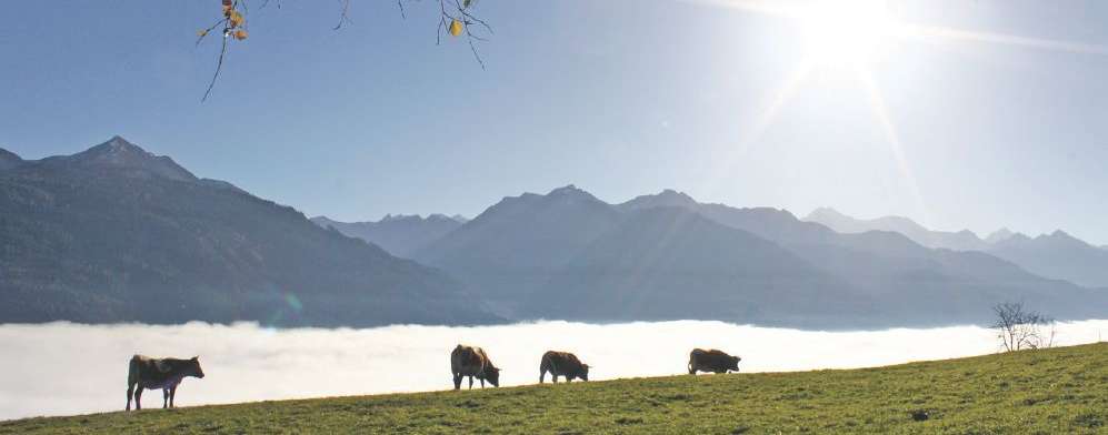 © LK-Salzburg, Fürstaller