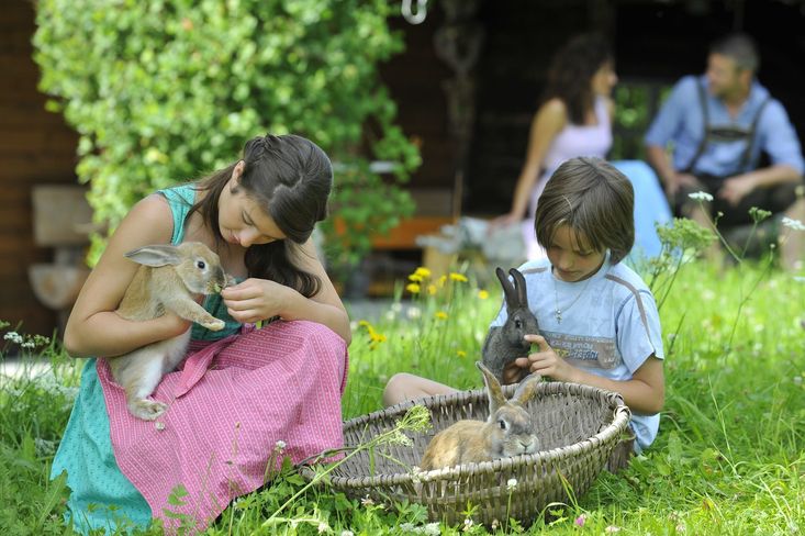 Unter dem Motto „Wo die Welt noch in Ordnung ist“ werden im neuen Bauernhofkatalog die bäuerliche Lebensweise, saisonale Kreisläufe, Nachhaltigkeit und Natur thematisiert. © www.urlaubambauernhof.com