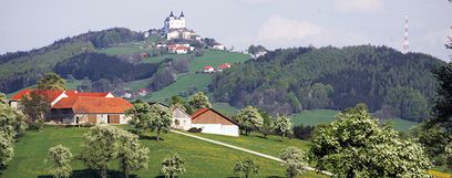 Sonntagberg im Hintergrund mit blühenden Birnbäumen davor © weinfranz