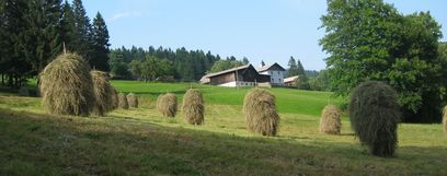 hinterneuwald (c) DI Martin Weihs © LK NÖ/ Martin Weihs hinterneuwald (c) DI Martin Weihs © LK NÖ/ Martin Weihs