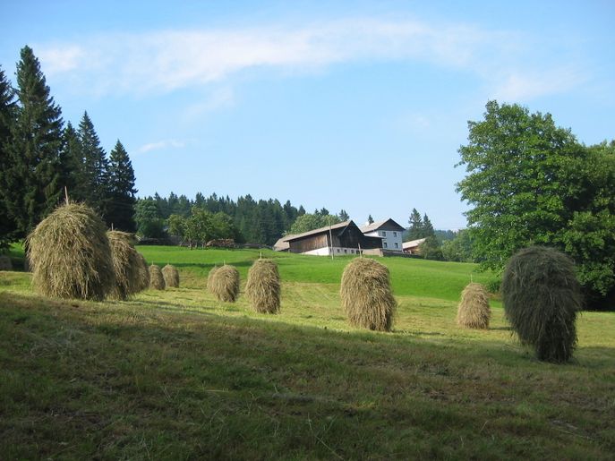 hinterneuwald (c) DI Martin Weihs © LK NÖ/ Martin Weihs