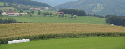 Stimmungsbild P+LF © LK NÖ Stimmungsbild P+LF © LK NÖ