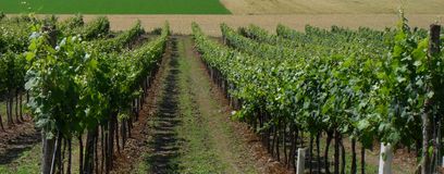 Blick Richtung Süden © LK NÖ Blick Richtung Süden © LK NÖ