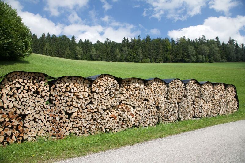 Wird das Holz rechtzeitig im Frühjahr zum Trocknen aufgestellt, lässt sich bis zum Herbst ein Wassergehalt von unter 20 Prozent erreichen. © Pixelkinder