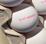 Einzelei-Kennzeichnung.jpg © LK Burgenland