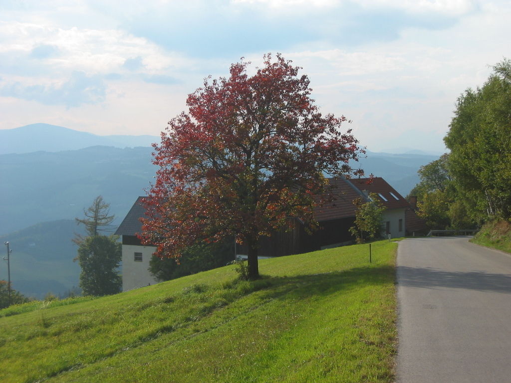 © DI Martin Weihs © DI Martin Weihs