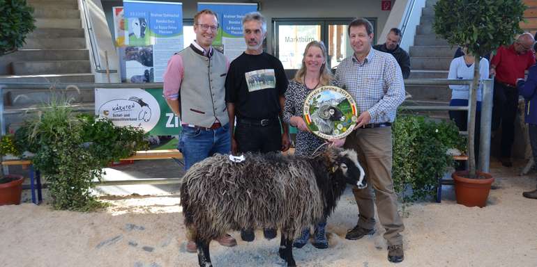 Das Krainer Steinschaf ? Siegertier
und zugleich teuerster
Zuchtwidder der zentralen Körung
2017: LK-Mitarbeiter Eduard
Penker, Obmann Hubert
Weichsler (Schaf- und Ziegenzuchtverband
Kärnten), Züchterin
Rosemarie Bernhardt aus
Heiligenblut und Verbandsgeschäftsführer
Heinz Jury (v. l.). © Archiv Das Krainer Steinschaf ? Siegertier
und zugleich teuerster
Zuchtwidder der zentralen Körung
2017: LK-Mitarbeiter Eduard
Penker, Obmann Hubert
Weichsler (Schaf- und Ziegenzuchtverband
Kärnten), Züchterin
Rosemarie Bernhardt aus
Heiligenblut und Verbandsgeschäftsführer
Heinz Jury (v. l.). © Archiv
