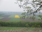 Weinviertel Galgenberg.jpg