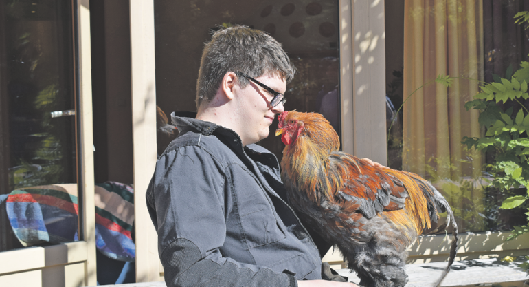 Tiergestützte Intervention ermöglicht es den Jugendlichen, ihr Gleichgewicht wied er zu finden und die Schule zu meistern. © Gschwandtl Tiergestützte Intervention ermöglicht es den Jugendlichen, ihr Gleichgewicht wied er zu finden und die Schule zu meistern. © Gschwandtl