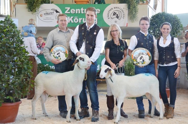 Die Tageshöchstpreise von 2350 Euro netto für einen Zuchtwidder
und 1420 Euro netto für ein Zuchtschaf erzielten diese beiden
Kärntner Brillenschafe. Im Bild von links: Züchter Gerhard Gaggl,
die Käufer Alexander Krobath und Hildegard Briefer sowie Züchter
Max Strohmaier mit Claudia Mölschl. © Archiv Die Tageshöchstpreise von 2350 Euro netto für einen Zuchtwidder
und 1420 Euro netto für ein Zuchtschaf erzielten diese beiden
Kärntner Brillenschafe. Im Bild von links: Züchter Gerhard Gaggl,
die Käufer Alexander Krobath und Hildegard Briefer sowie Züchter
Max Strohmaier mit Claudia Mölschl. © Archiv