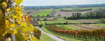 Sinnbild Bezirk BL © Silke Schwab © Silke Schwab Sinnbild Bezirk BL © Silke Schwab © Silke Schwab