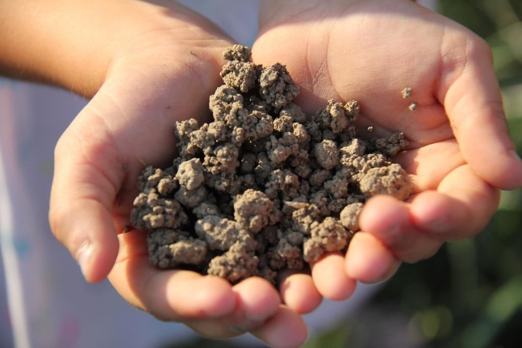 Boden_(c)_Heidegger_Elisabeth.jpg © Archiv