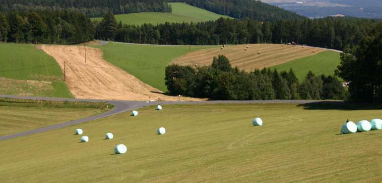Landschaft, Felder.jpg © Ferdinand Kogler/LK Stmk