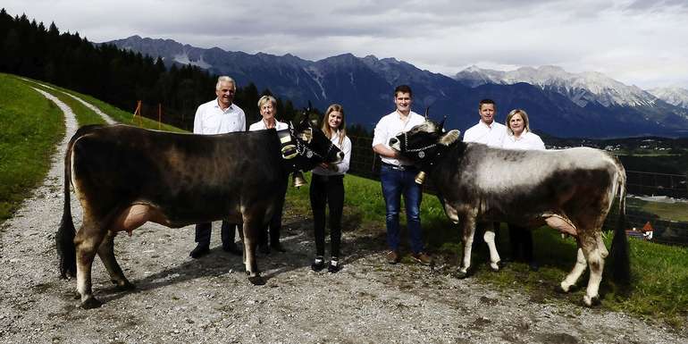 Drei Generationen leben am Hoarachhof: v.l. Josef und Maria Larcher, Magdalena (mit Grauviehkuh Suni), David (mit Grauviehkuh Sissi), Markus und Andrea Haller. © Haller