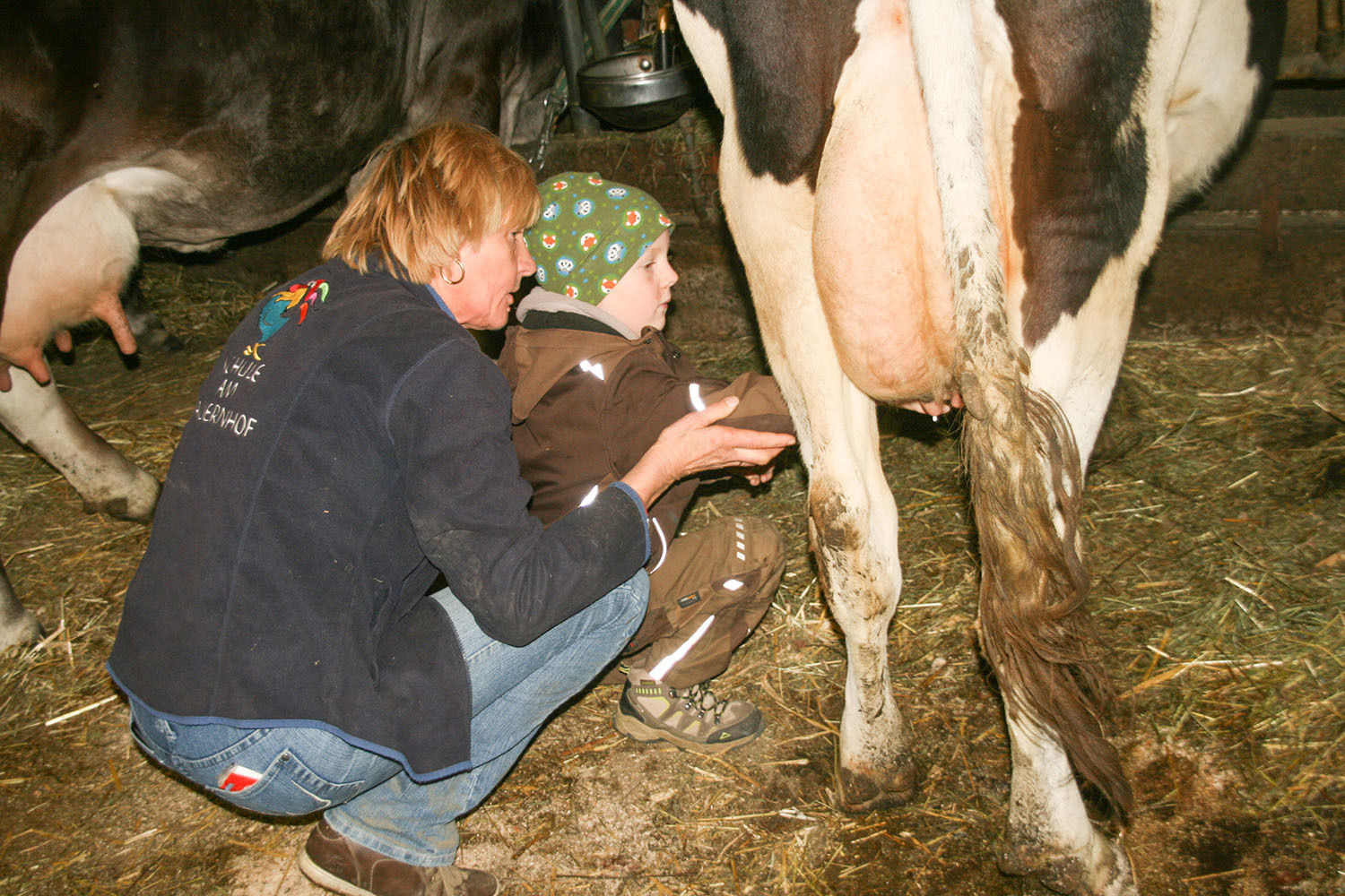 Martha zeigt Linus das Melken. © LK Tirol/Pfurtscheller