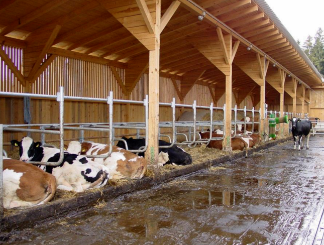 Ein Stallneubau ist besonders vorsichtig zu planen - auch hinsichtlich der Finanzierung. © Breininger Ein Stallneubau ist besonders vorsichtig zu planen - auch hinsichtlich der Finanzierung. © Breininger