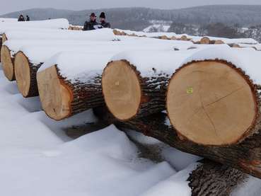 © BBK Baden und Mödling