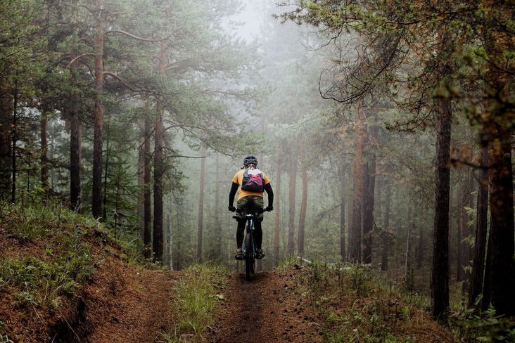 Die Nutzung eines Forstweges zum Mountainbiken, aber auch zur Jagdausübung bedarf der ausdrücklichen
Zustimmung aller Grundeigentümer. © sportpoint/Fotolia Die Nutzung eines Forstweges zum Mountainbiken, aber auch zur Jagdausübung bedarf der ausdrücklichen
Zustimmung aller Grundeigentümer. © sportpoint/Fotolia