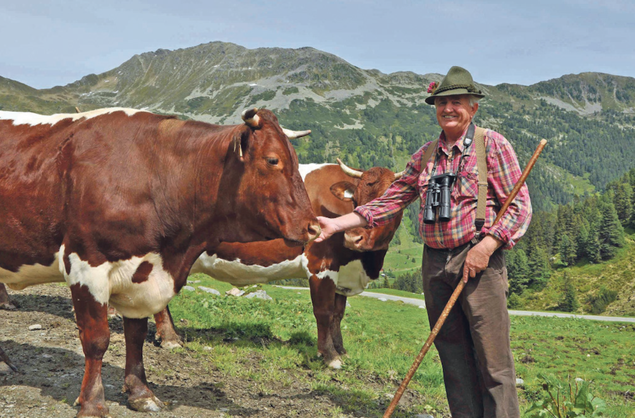 Salzburger Bauer Reportagen Über die Alm © LK Salzburg