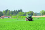 Mit dem grössten Effekt der Wachtumsregler ist in der zeitigen Schossphase zu rechnen. © agrarfoto.com Mit dem grössten Effekt der Wachtumsregler ist in der zeitigen Schossphase zu rechnen. © agrarfoto.com