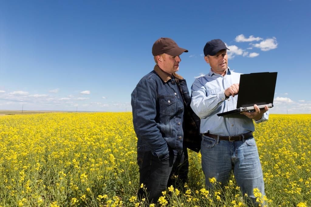 Öpul.jpg © Istock shotbydave Öpul.jpg © Istock shotbydave