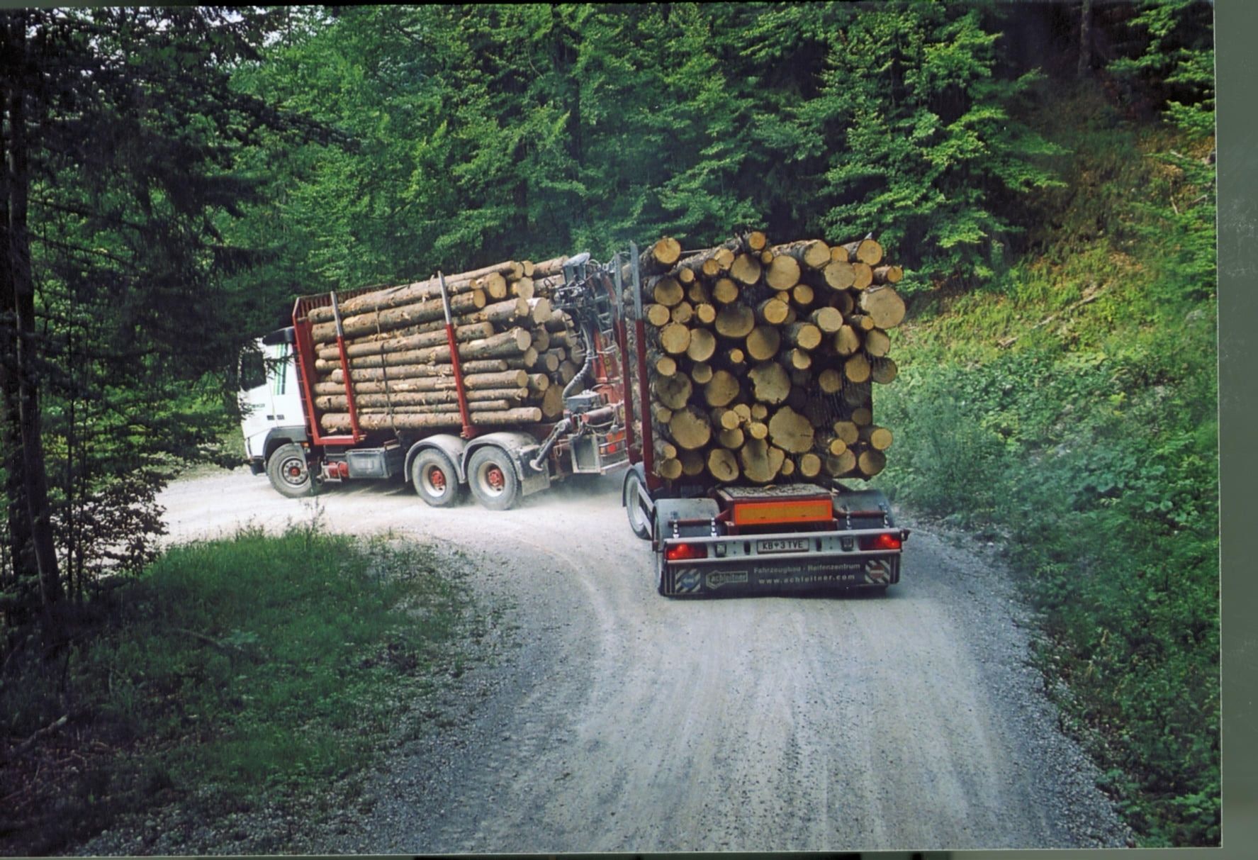 Holzabfuhr.jpg © LK Tirol