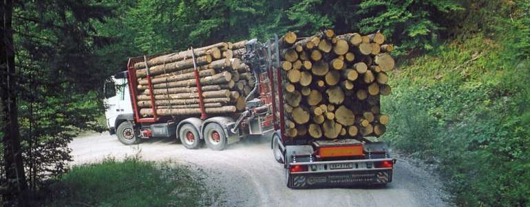 Durch die TransGo-App wird der Transport von Holz für Frächter und Waldeigentümer vereinfacht. © LK Tirol Durch die TransGo-App wird der Transport von Holz für Frächter und Waldeigentümer vereinfacht. © LK Tirol