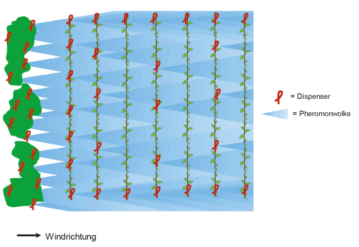 Schematische Verteilung des Dispenser © Biohelp