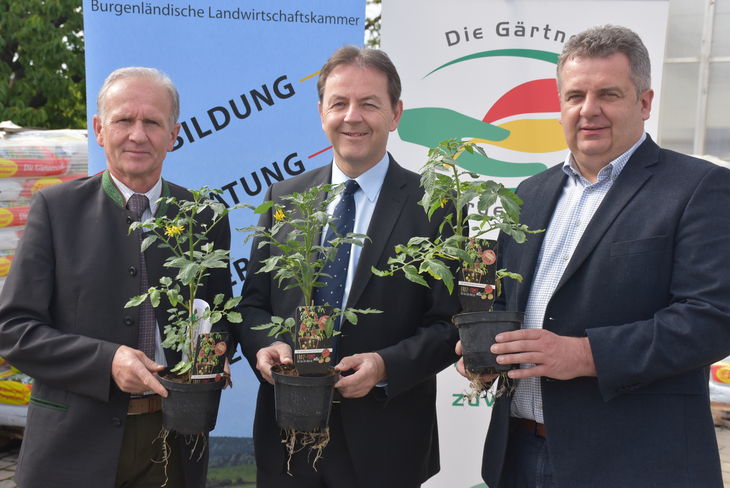 Gärtnerpräsident Albert Trinkl, LK-Präsident Niki Berlakovich und Bürgermeister Kammerrat Johannes Igler aus Neckenmarkt
© Bgld. Landwirtschaftskammer/Leitgeb Gärtnerpräsident Albert Trinkl, LK-Präsident Niki Berlakovich und Bürgermeister Kammerrat Johannes Igler aus Neckenmarkt
© Bgld. Landwirtschaftskammer/Leitgeb