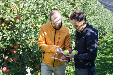 Obstbauberatung © Böck