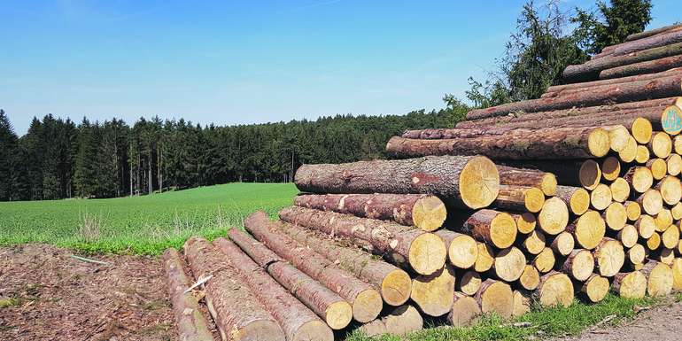 Buchdrucker ist wieder aktiv Holz ist mindestens 500 Meter vom Wald entfernt zu lagern. Im Vorjahr wurde mit 3,52 Millionen Festmeter Borkenkäferholz der höchste Wert seit Beginn der Aufzeichnungen in den 1940er Jahren erreicht. Davon entfielen 1,5 Millionen Festmeter auf Niederösterreich. © LK NÖ/Karl Schuster Buchdrucker ist wieder aktiv Holz ist mindestens 500 Meter vom Wald entfernt zu lagern. Im Vorjahr wurde mit 3,52 Millionen Festmeter Borkenkäferholz der höchste Wert seit Beginn der Aufzeichnungen in den 1940er Jahren erreicht. Davon entfielen 1,5 Millionen Festmeter auf Niederösterreich. © LK NÖ/Karl Schuster
