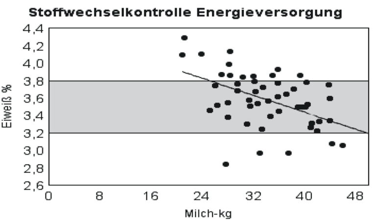 Mittels der Gegenüberstellung von Eiweißgehalt und Milch-Kilogramm kann die Energieversorgung der Tiere bei unterschiedlichem Leistungsniveau veranschaulicht werden. Je flacher die Trendlinie und je geringer die Streuung, umso besser gelingt es, die Tiere bedarfsgerecht zu versorgen. Bei auffälligen Tieren sollte zusätzlich auch der Milchharnstoffgehalt betrachtet werden. © LKV Tagesbericht Mittels der Gegenüberstellung von Eiweißgehalt und Milch-Kilogramm kann die Energieversorgung der Tiere bei unterschiedlichem Leistungsniveau veranschaulicht werden. Je flacher die Trendlinie und je geringer die Streuung, umso besser gelingt es, die Tiere bedarfsgerecht zu versorgen. Bei auffälligen Tieren sollte zusätzlich auch der Milchharnstoffgehalt betrachtet werden. © LKV Tagesbericht