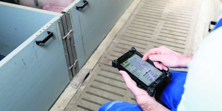 Mittels Tablet oder Smartphone kann man die Daten direkt im Stall online oder auch im Offline-Modus erfassen. © LK NÖ Mittels Tablet oder Smartphone kann man die Daten direkt im Stall online oder auch im Offline-Modus erfassen. © LK NÖ