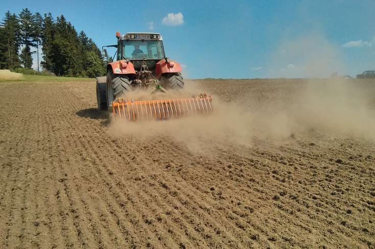 Zweiter Durchgang der mechanischen Bekämpfung mit Kreiselgrubber bei Sonnenschein. © DI Peter Frühwirth Zweiter Durchgang der mechanischen Bekämpfung mit Kreiselgrubber bei Sonnenschein. © DI Peter Frühwirth