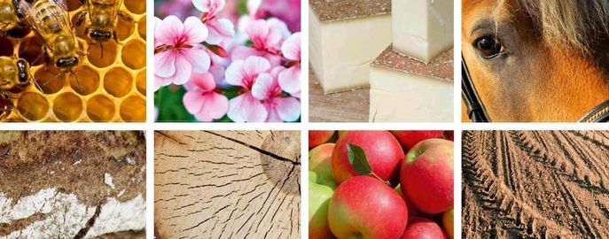 Bildung Header OÖ LFA © LFA Bildung Header OÖ LFA © LFA