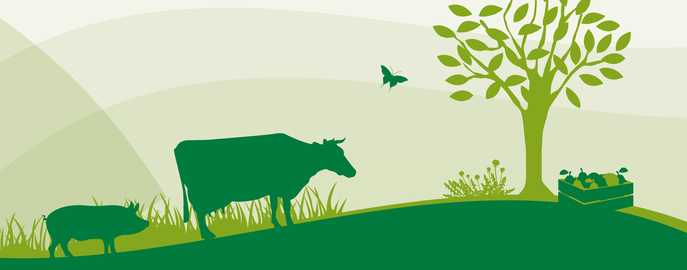 Bildung Header OÖ LFI © LFI OÖ Bildung Header OÖ LFI © LFI OÖ