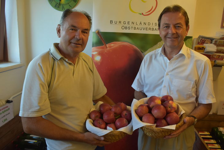 Landwirtschaftskammerpräsident Berlakovich und Obstbaupräsident Plemenschits werben für heimische Äpfel © Bgld. LK, Leitgeb Landwirtschaftskammerpräsident Berlakovich und Obstbaupräsident Plemenschits werben für heimische Äpfel © Bgld. LK, Leitgeb