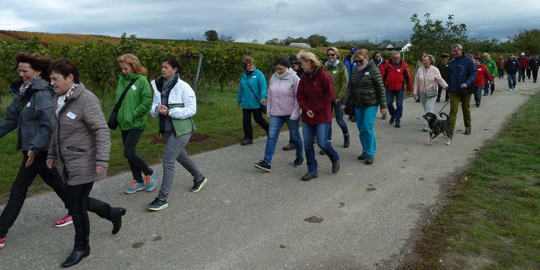 Wandern MTBL 01_10_ 2018.jpg © Bgld. Landwirtschaftskammer Wandern MTBL 01_10_ 2018.jpg © Bgld. Landwirtschaftskammer